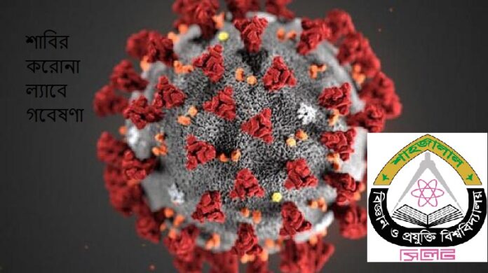 Coronal Lab News pic